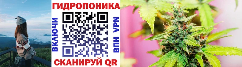 купить закладку  Александровское  Шишки марихуана VHQ 